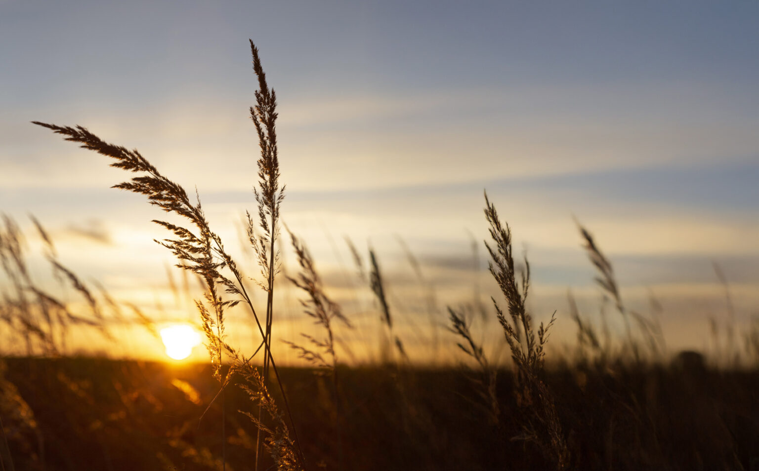 An Inspiring View Morning Light